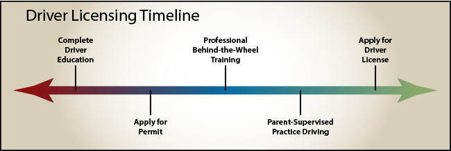Driver Licensing Timeline